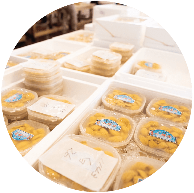 小樽の海の幸 うに