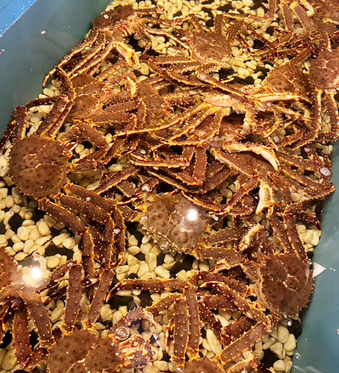 水産物卸売・加工品