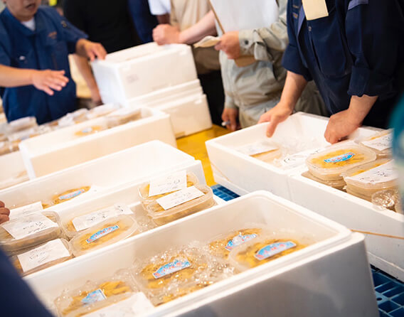 農産物・畜産物卸売